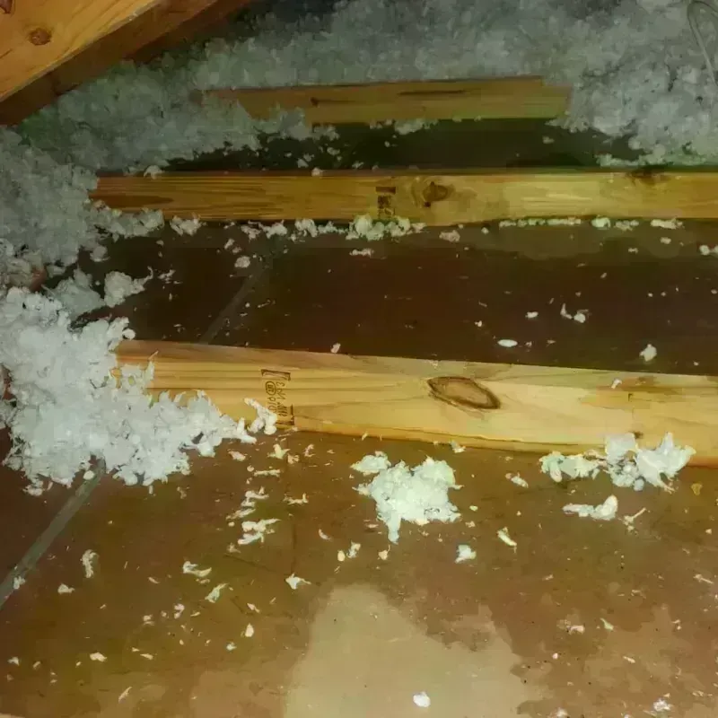 Attic Water Damage in Battle Ground, IN